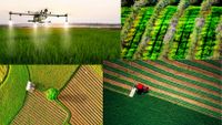 Drohnen-Landwirtschaftsüberwachung von Terra Over Fly